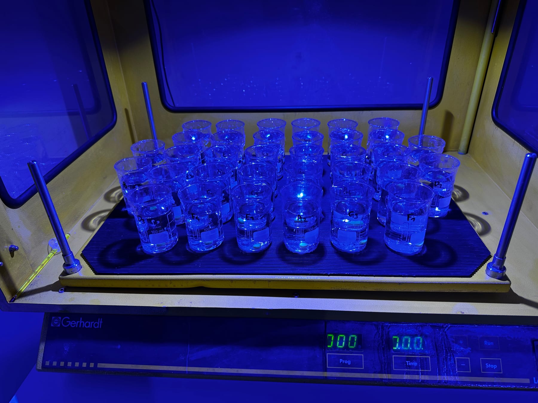 Labelled exposure vessels in a concentration series under blue light in the ReefTox laboratory