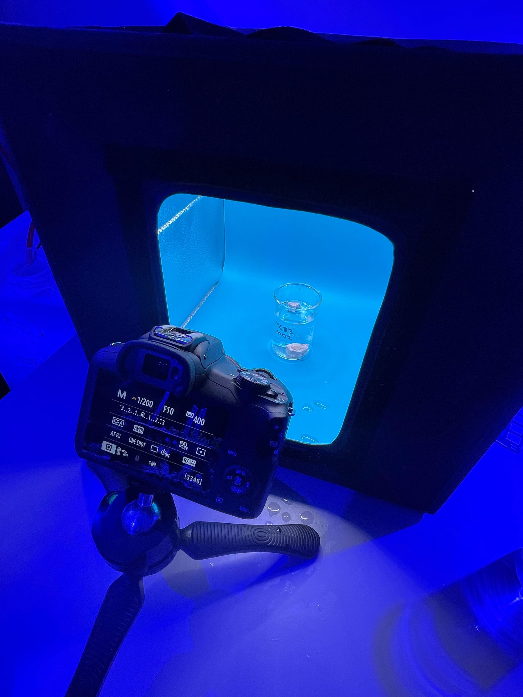 A camera on a tripod photographing a coral fragment inside the ReefTox imaging box