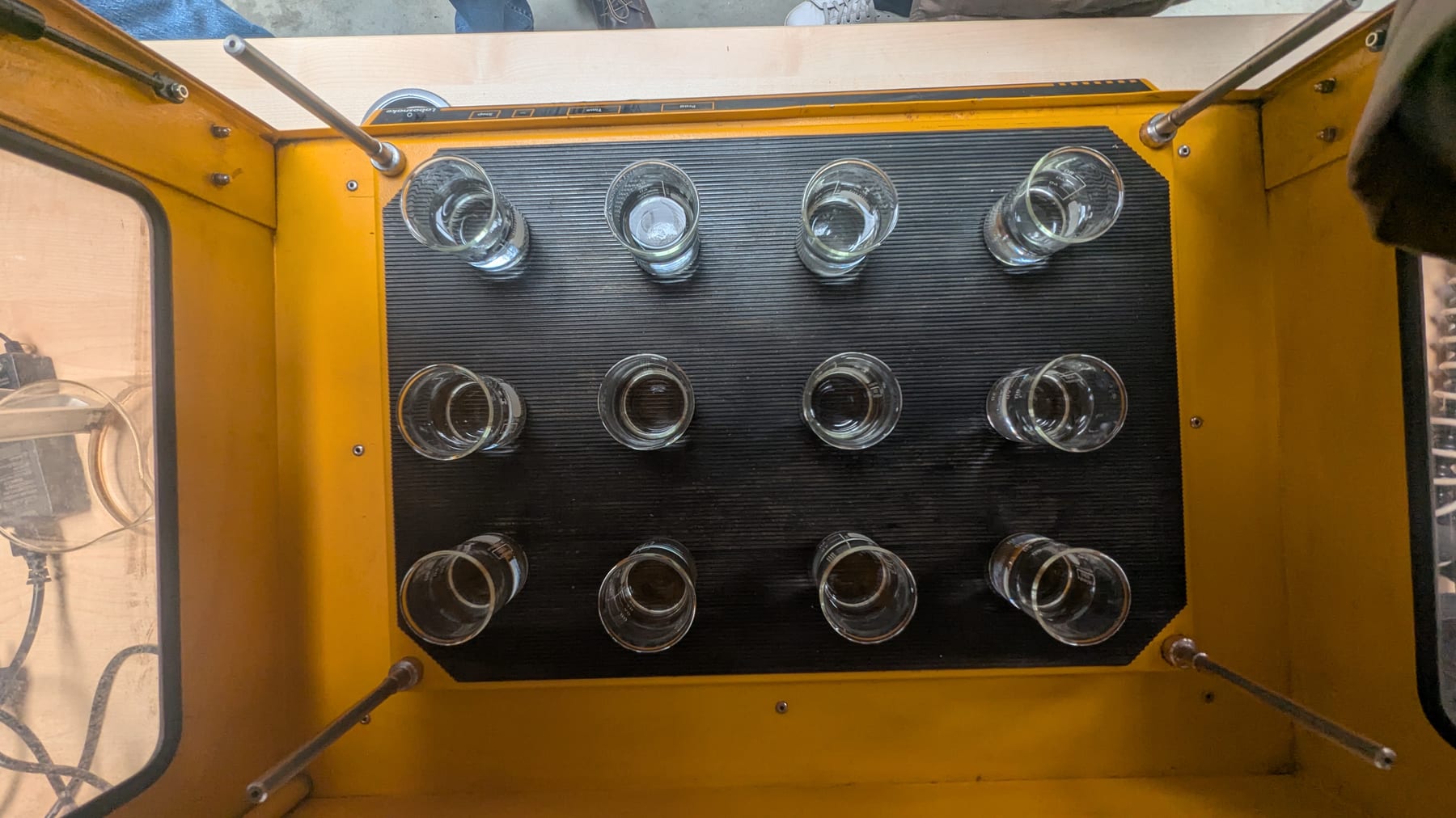 An overhead view of exposure beakers arranged in a grid inside the ReefTox incubation chamber under blue light in the ReefTox lab