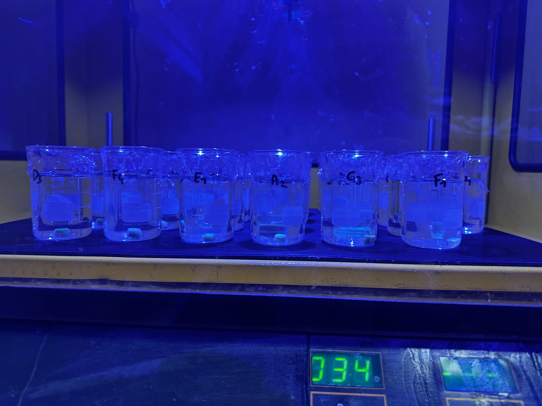 Labelled exposure vessels forming a concentration series under blue light in the ReefTox laboratory