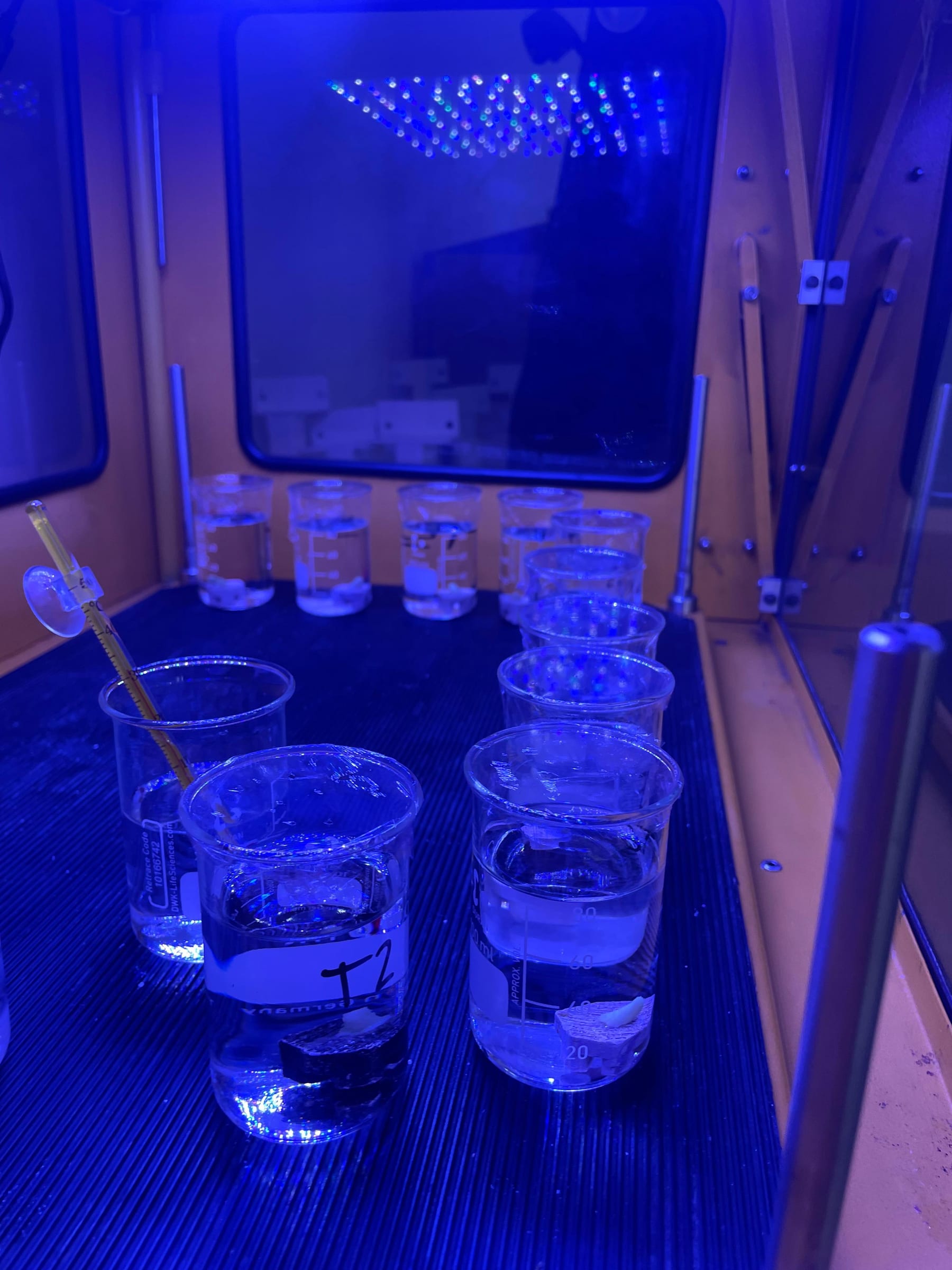 Labelled sample beakers on the ReefTox lab bench with a pipette