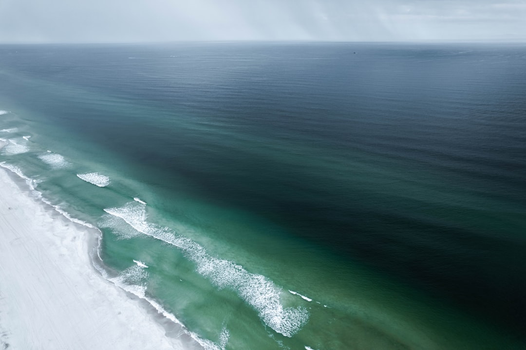 Aerial view of waves breaking over shallow coastal water
